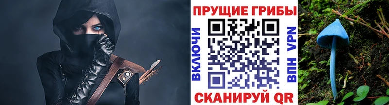 Купить где  Краснознаменск  Псилоцибиновые грибы мицелий 